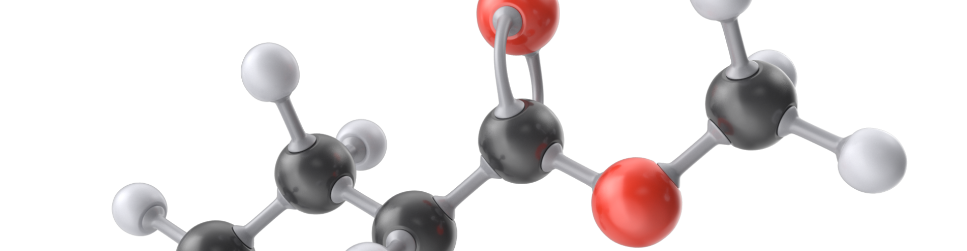 Wat is methylering?