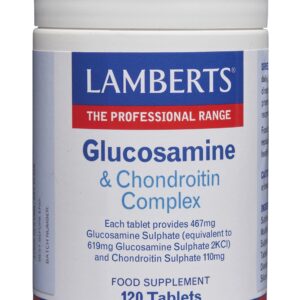 Glucosamine & phytodroitine complex